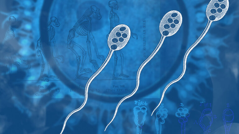 illustration of genes